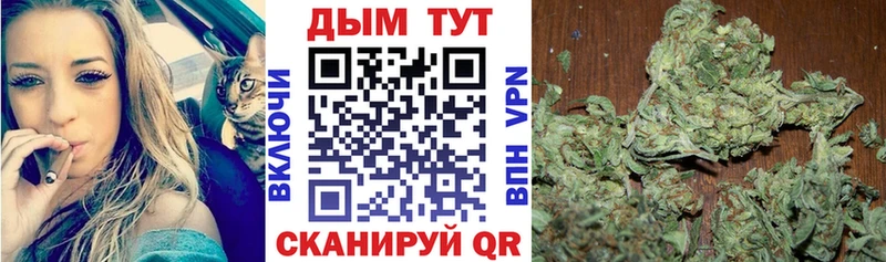 Канабис ГИДРОПОН  Суровикино 
